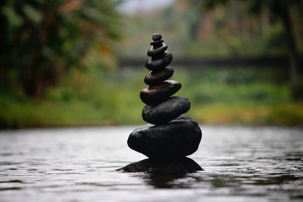 ONE ACTIVITY THAT COULD LEAD TO A MORE MEANINGFUL LIFE